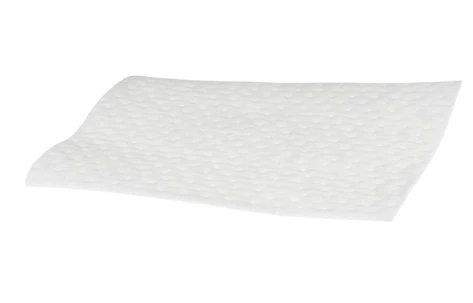 Filtro de Purga Aspirador Bosch - 00633485